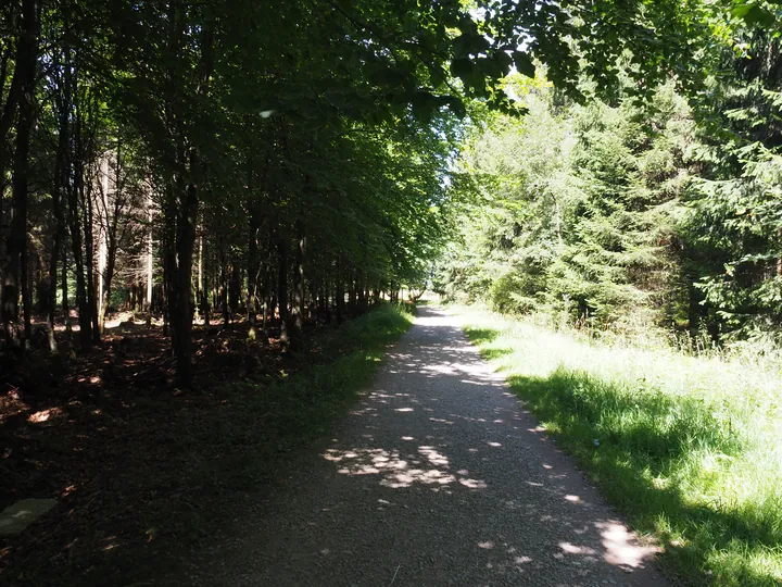 Signal de Botrange (Belgium)